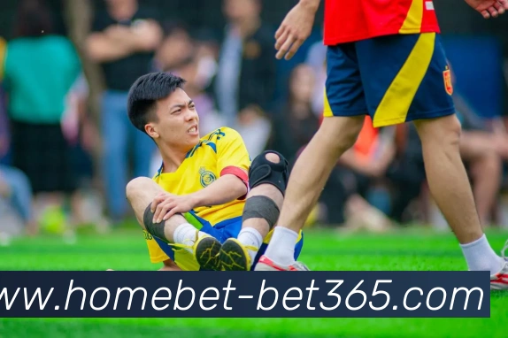 bet365平台生态图