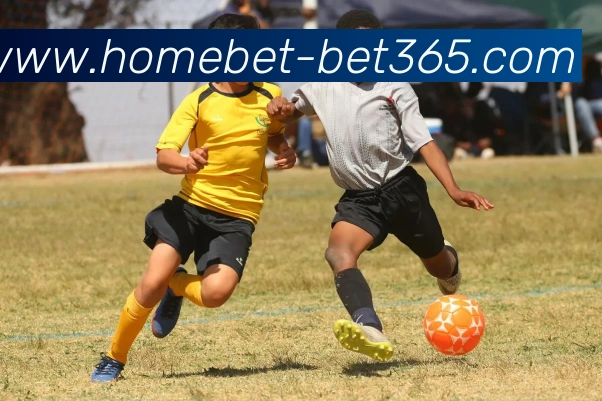 bet365全站App bet365全站App